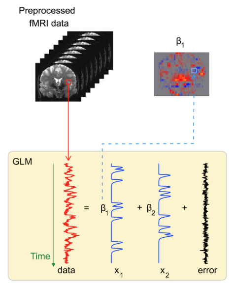 GLM 1st level