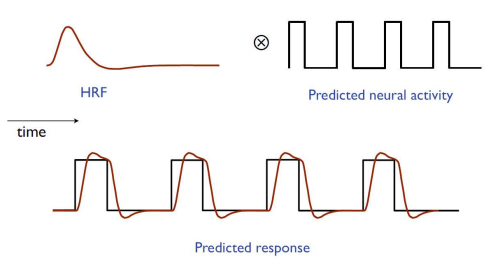 HRF function